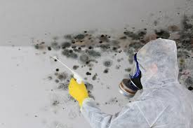 Trusted Nicoma Park, OK Mold Remediation Experts